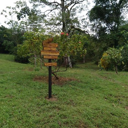 Finca Sueno De Osa Puerto Jiménez Kültér fotó