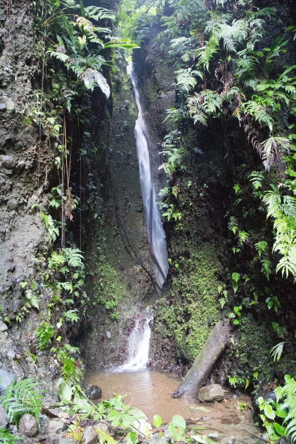Finca Sueno De Osa Puerto Jiménez Kültér fotó