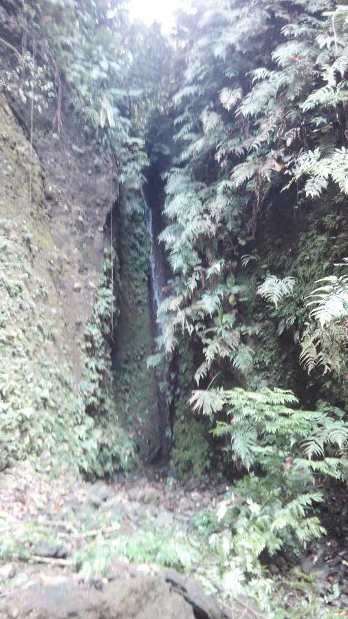 Finca Sueno De Osa Puerto Jiménez Kültér fotó