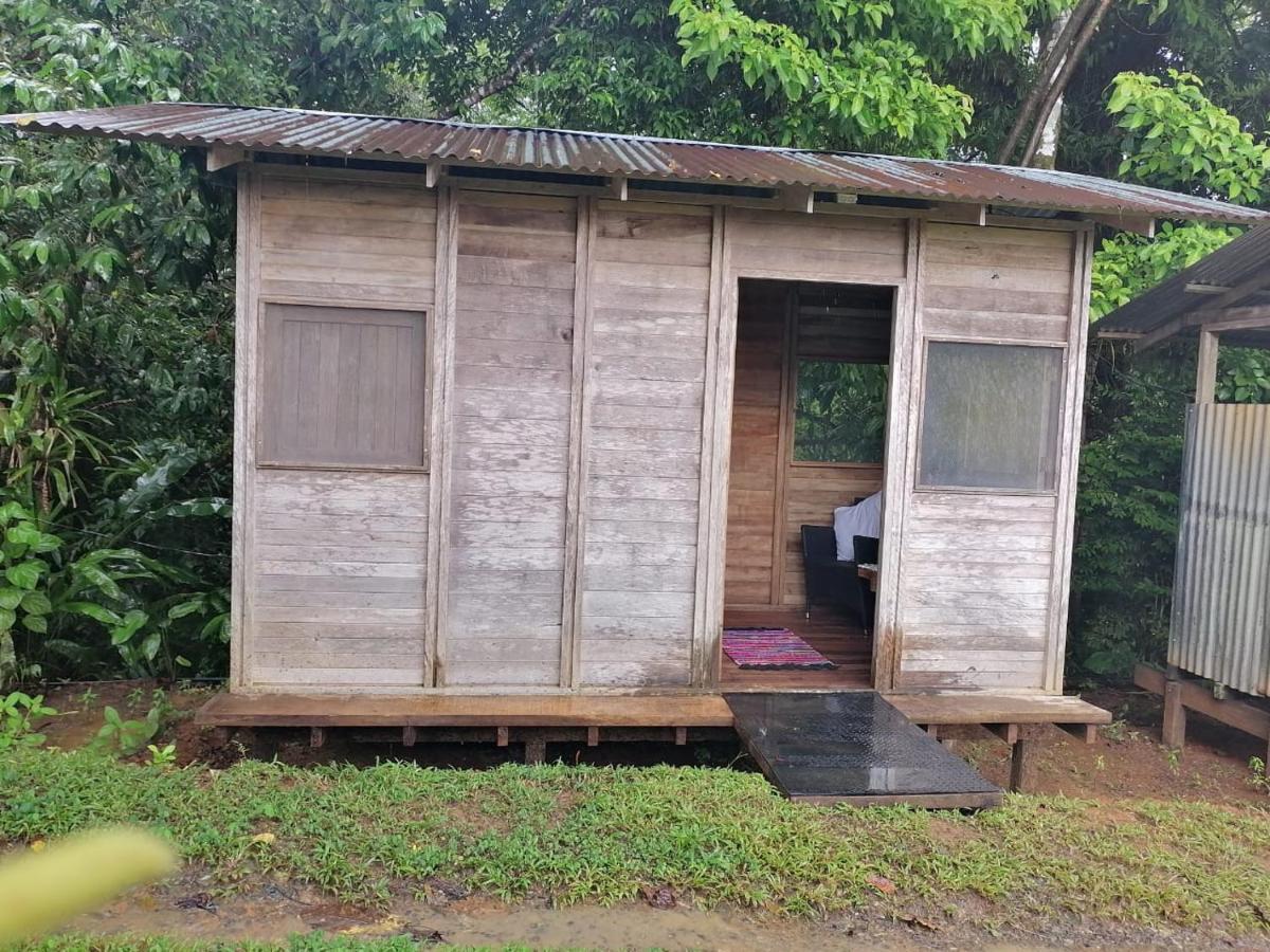 Finca Sueno De Osa Puerto Jiménez Kültér fotó