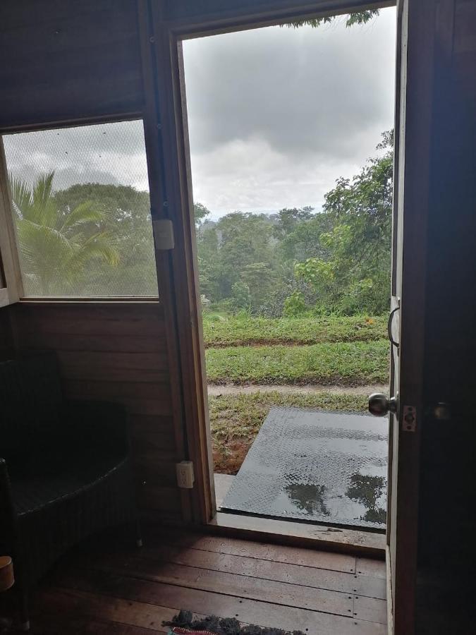 Finca Sueno De Osa Puerto Jiménez Kültér fotó