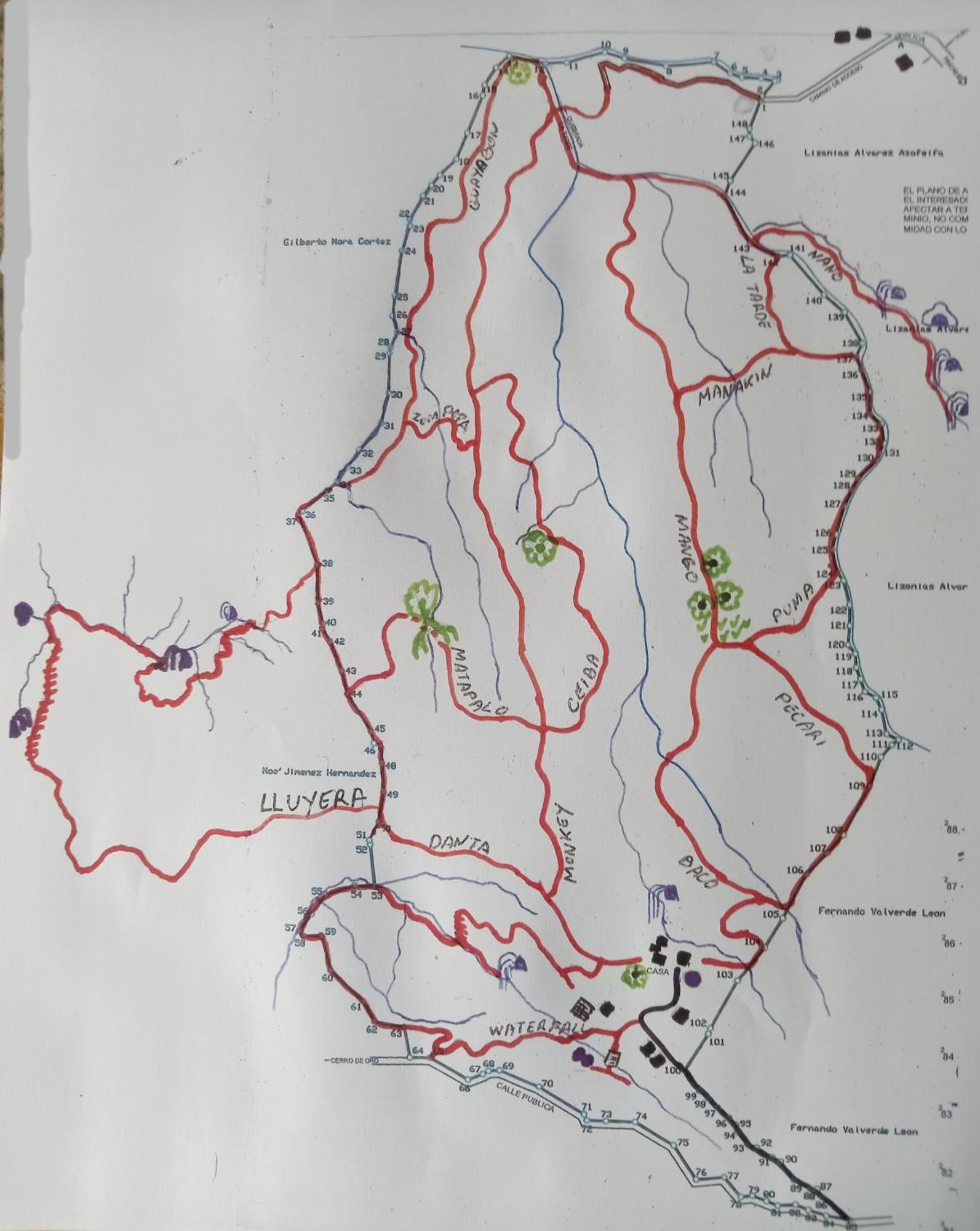 Finca Sueno De Osa Puerto Jiménez Kültér fotó