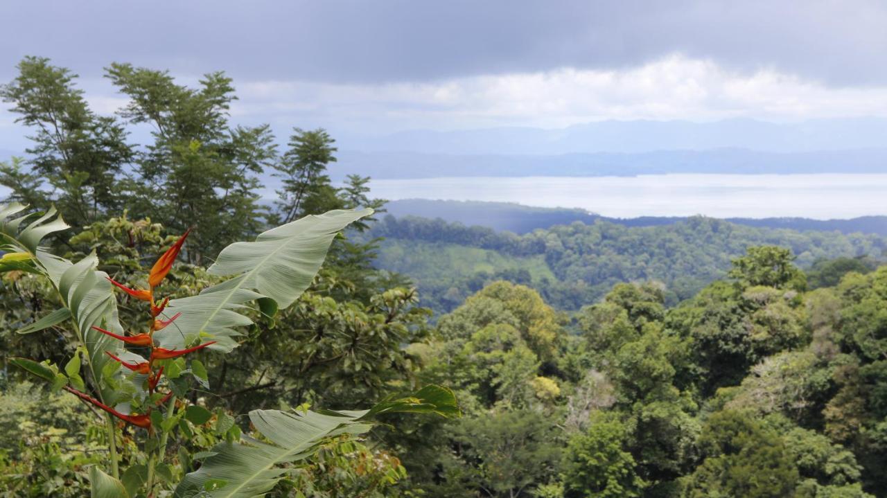 Finca Sueno De Osa Puerto Jiménez Kültér fotó