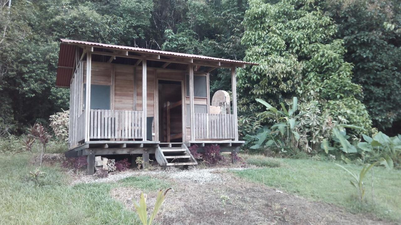 Finca Sueno De Osa Puerto Jiménez Kültér fotó
